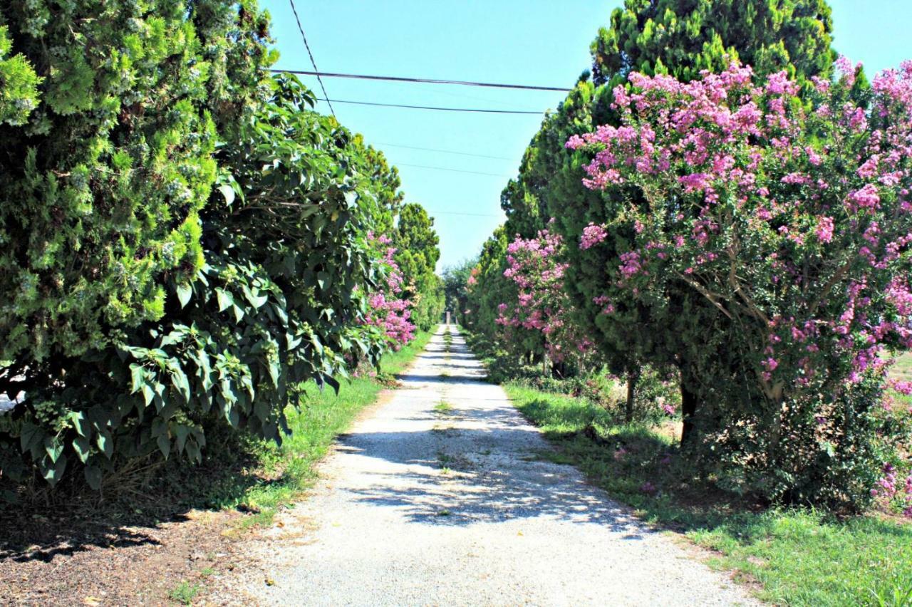 B&B Villa Paolida, Aceto Balsamico & Acetaia Antica Nonantola Exterior foto